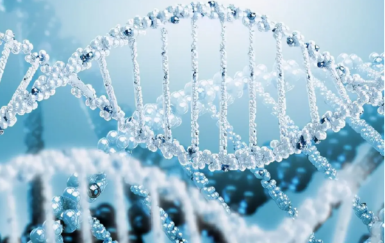 バイオテクノロジーで健康な未来を実現